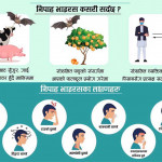 भारतमा निपाह भाइरस: सीमा नाकामा 'हाइ अलर्ट', कति जोखिममा छ नेपाल?